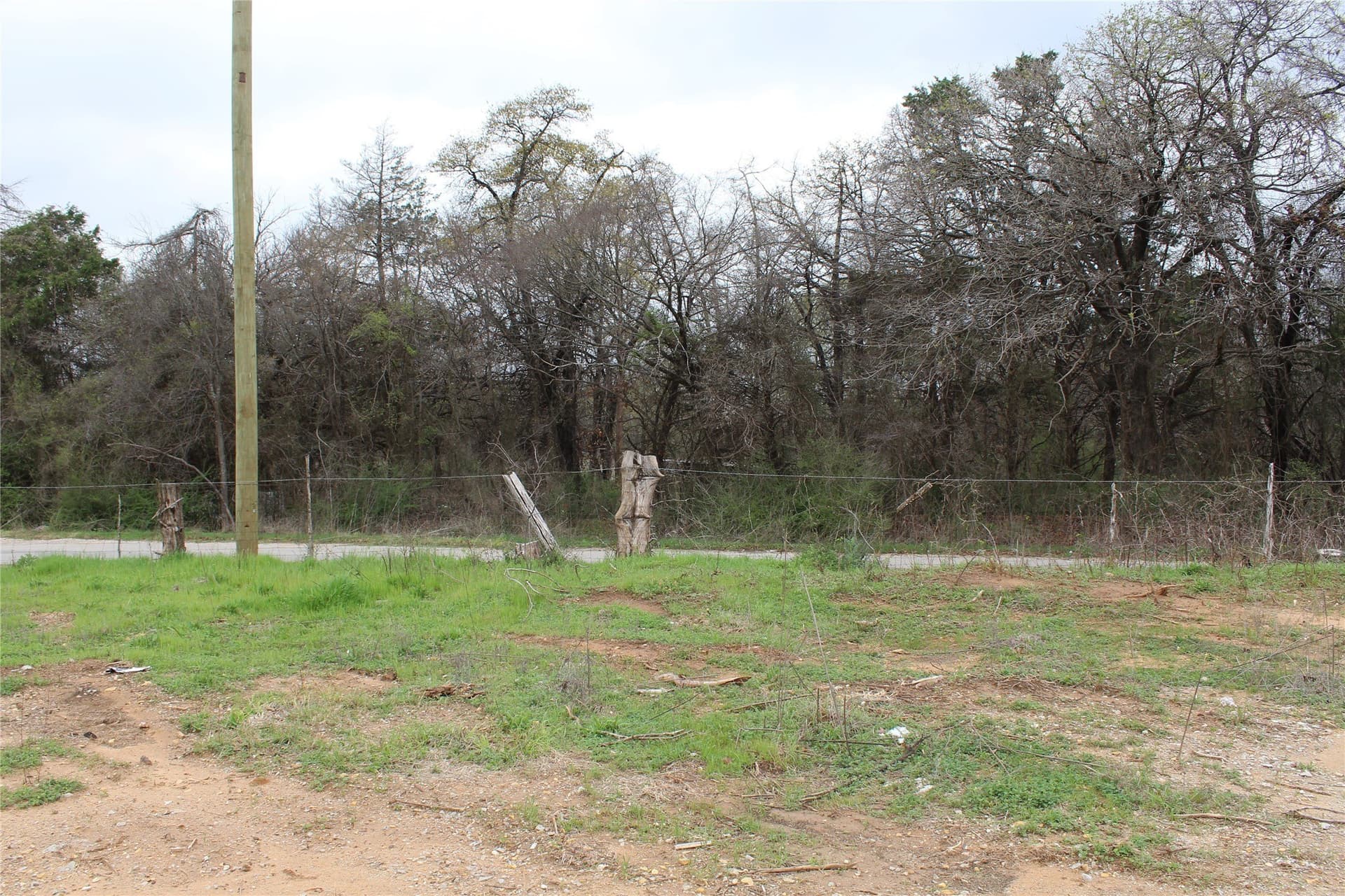 3.33 acres in Dallas County - photo 14