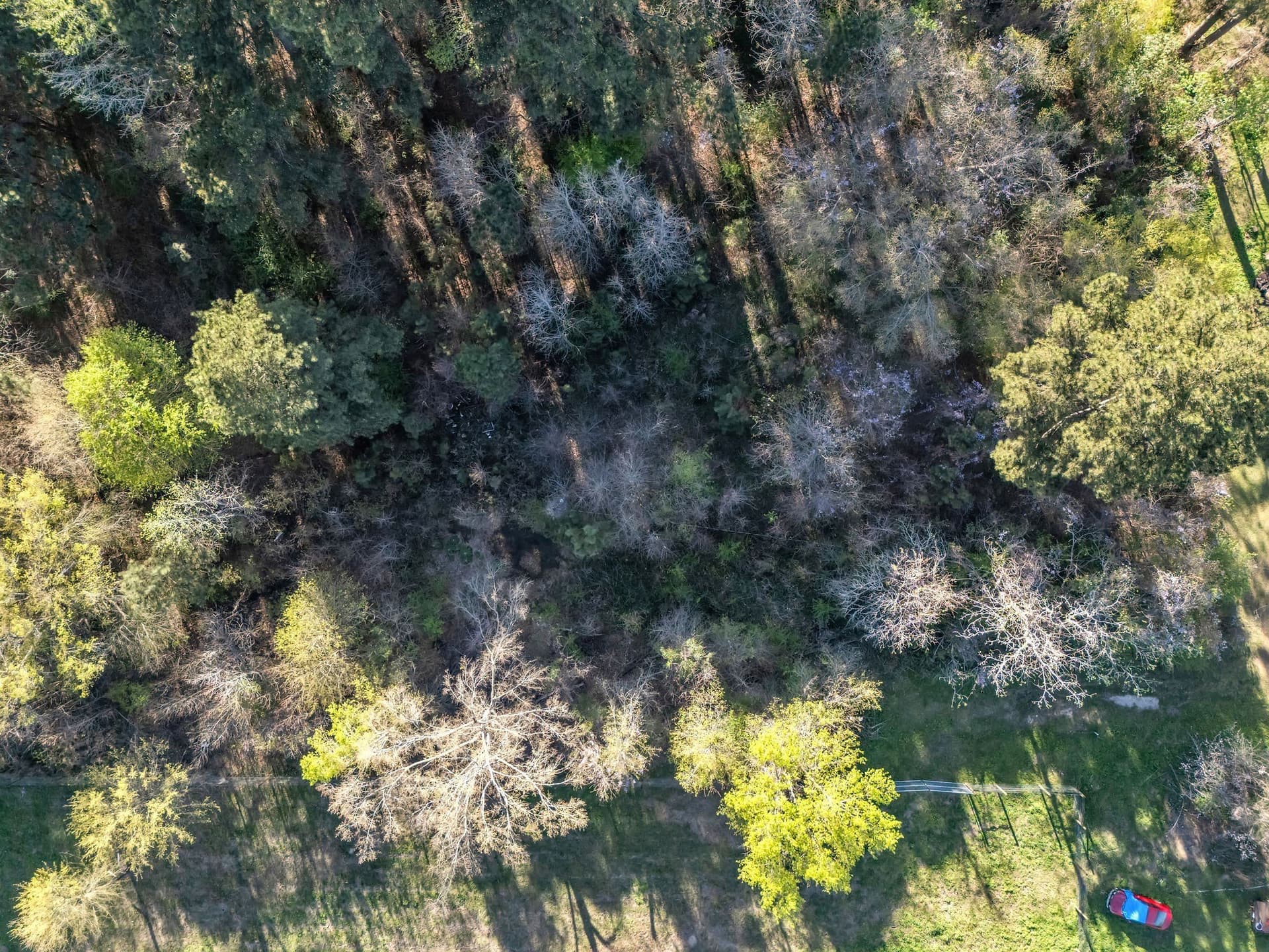 0.65 acres in Smith County - photo 12
