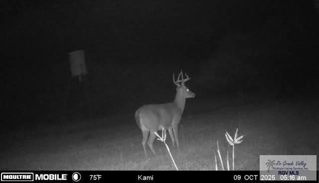 98.32 acres in WILLACY County - photo 8