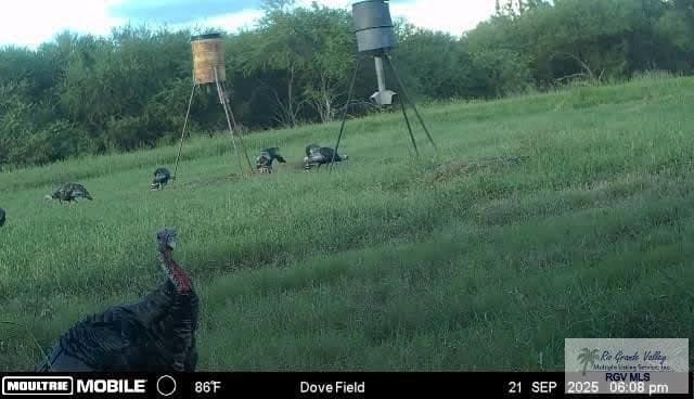 98.32 acres in WILLACY County featured view