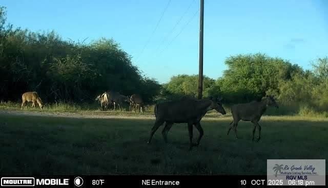 98.32 acres in WILLACY County gallery image 2