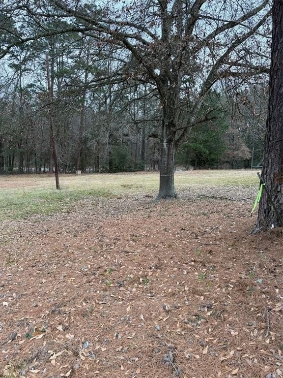 5.56 acres in Smith County gallery image 4