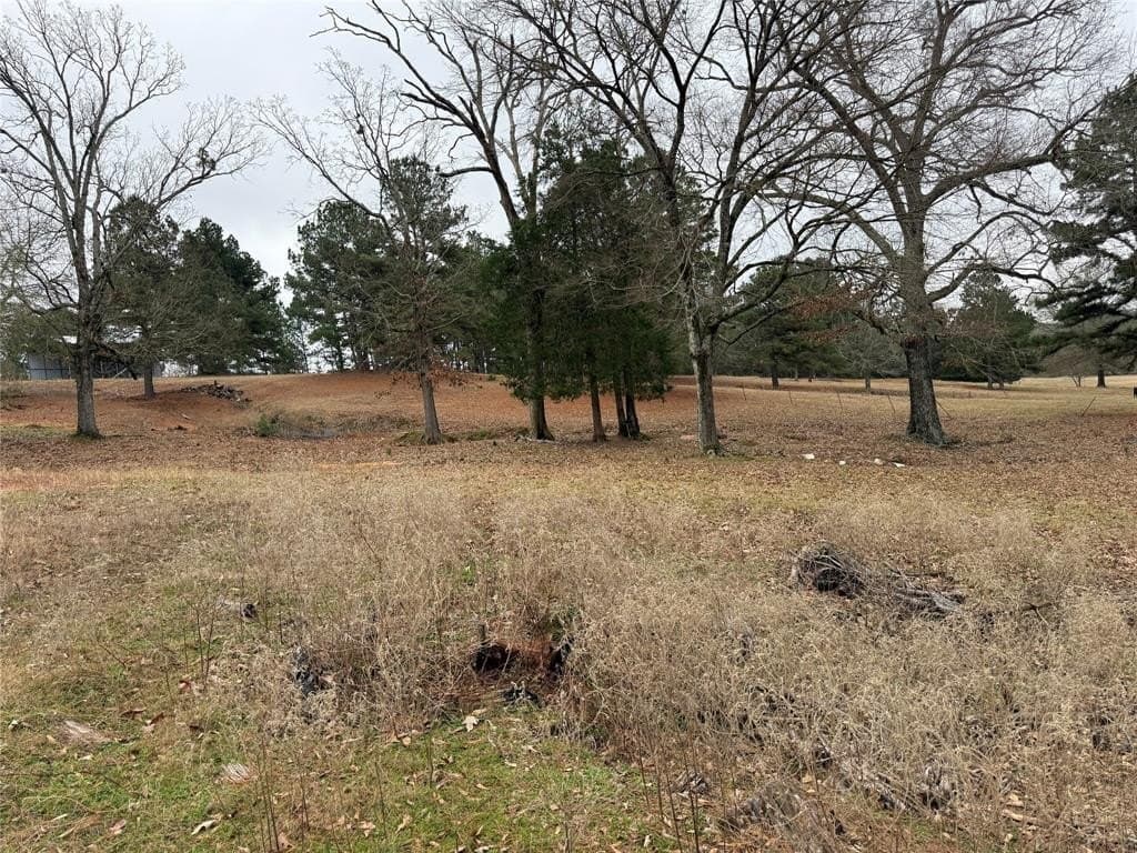 5.56 acres in Smith County gallery image 3