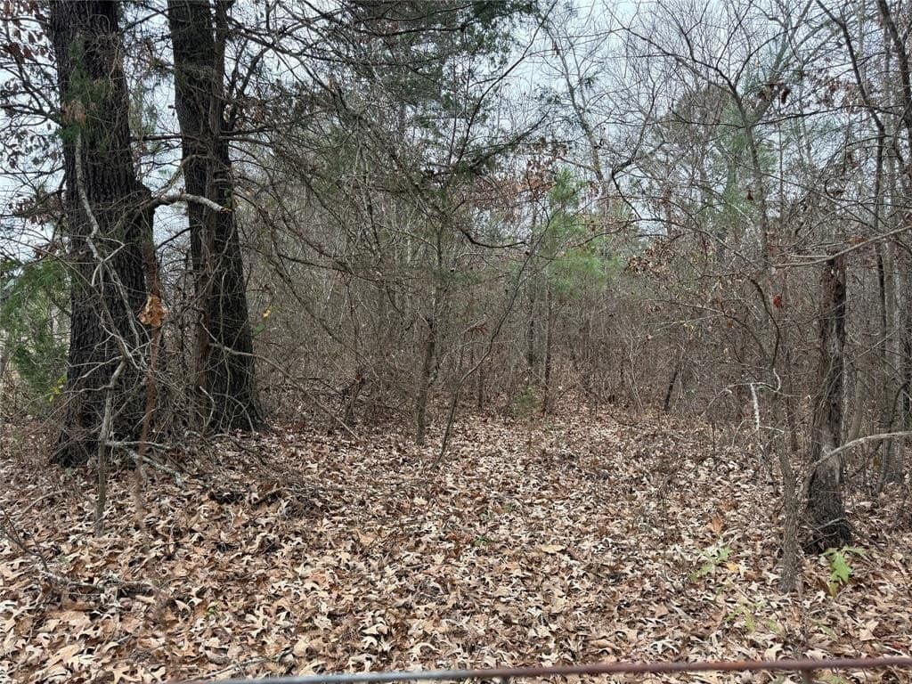 5.56 acres in Smith County featured view
