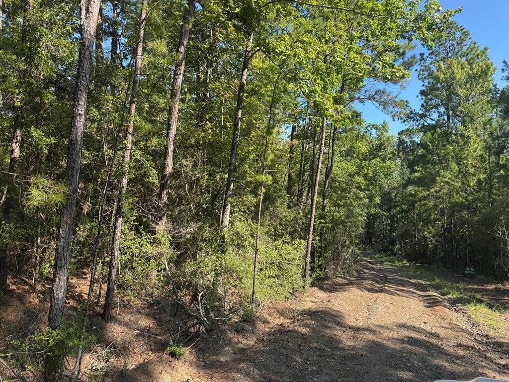 0.21 acres in Texas County - photo 6