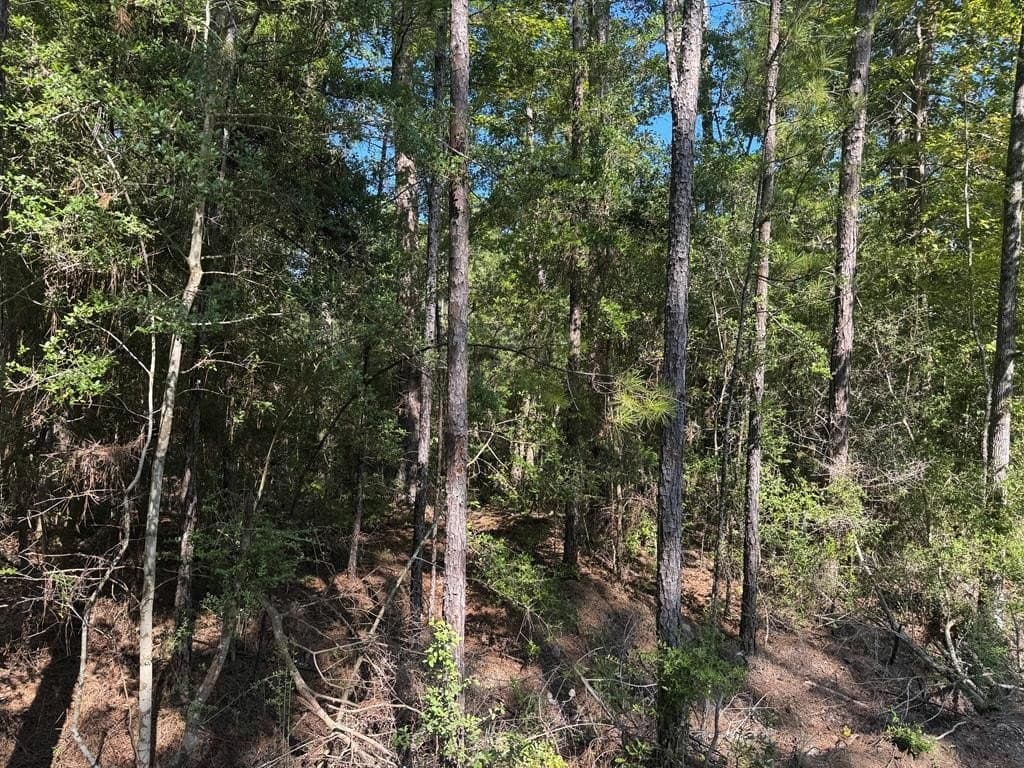 0.21 acres in Texas County - photo 9