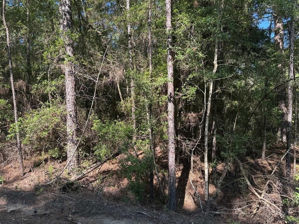 0.21 acres in Texas County - photo 2