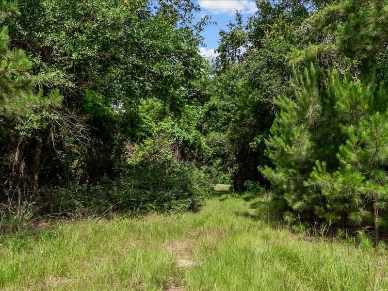 79.45 acres in ANDERSON County gallery image 3