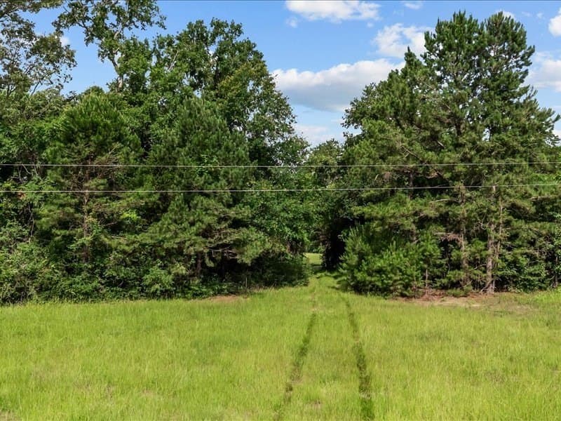 79.45 acres in ANDERSON County gallery image 4