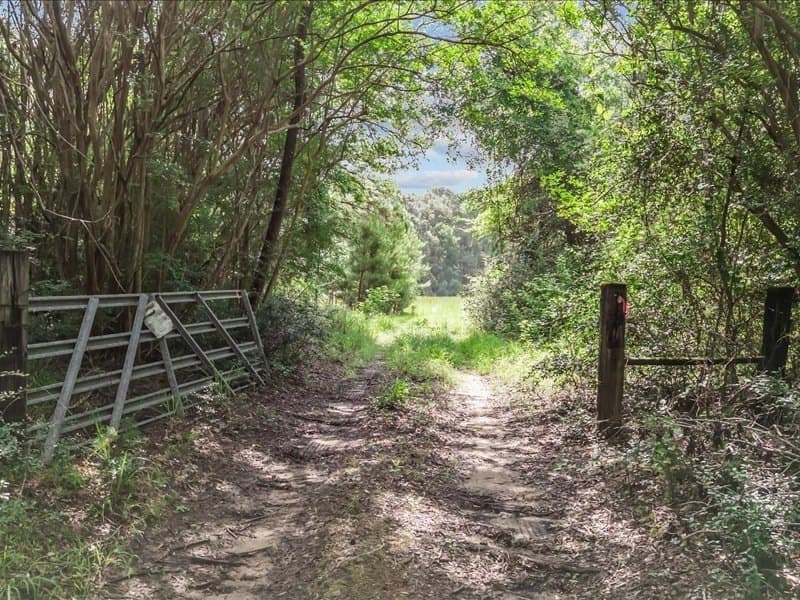 79.45 acres in ANDERSON County gallery image 2