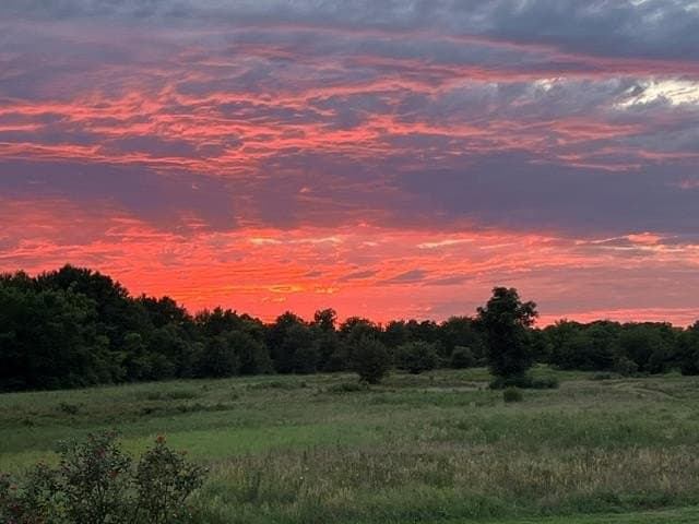 50.3 acres in Henderson County - photo 43