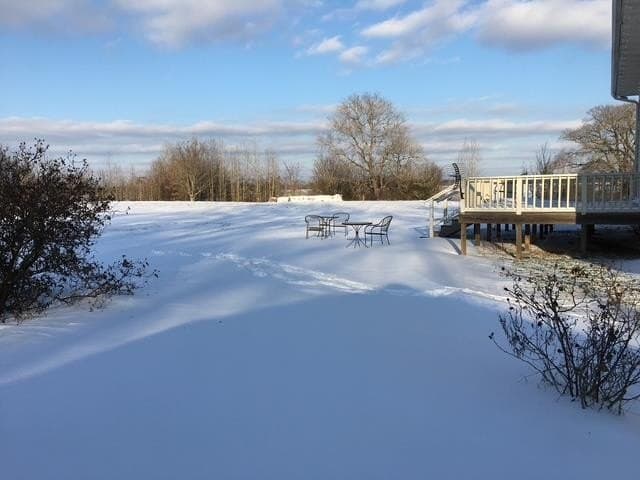 50.3 acres in Henderson County - photo 8