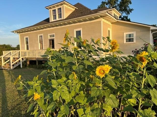 50.3 acres in Henderson County featured view