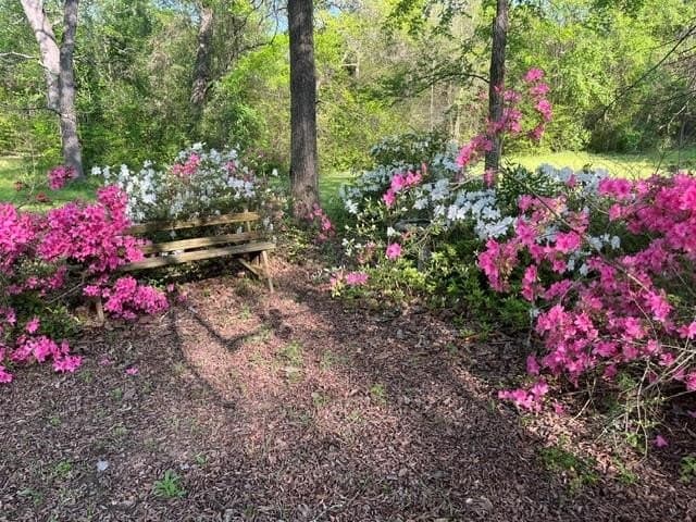 50.3 acres in Henderson County - photo 37