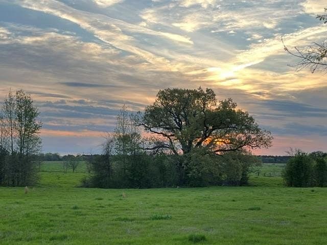 50.3 acres in Henderson County - photo 42