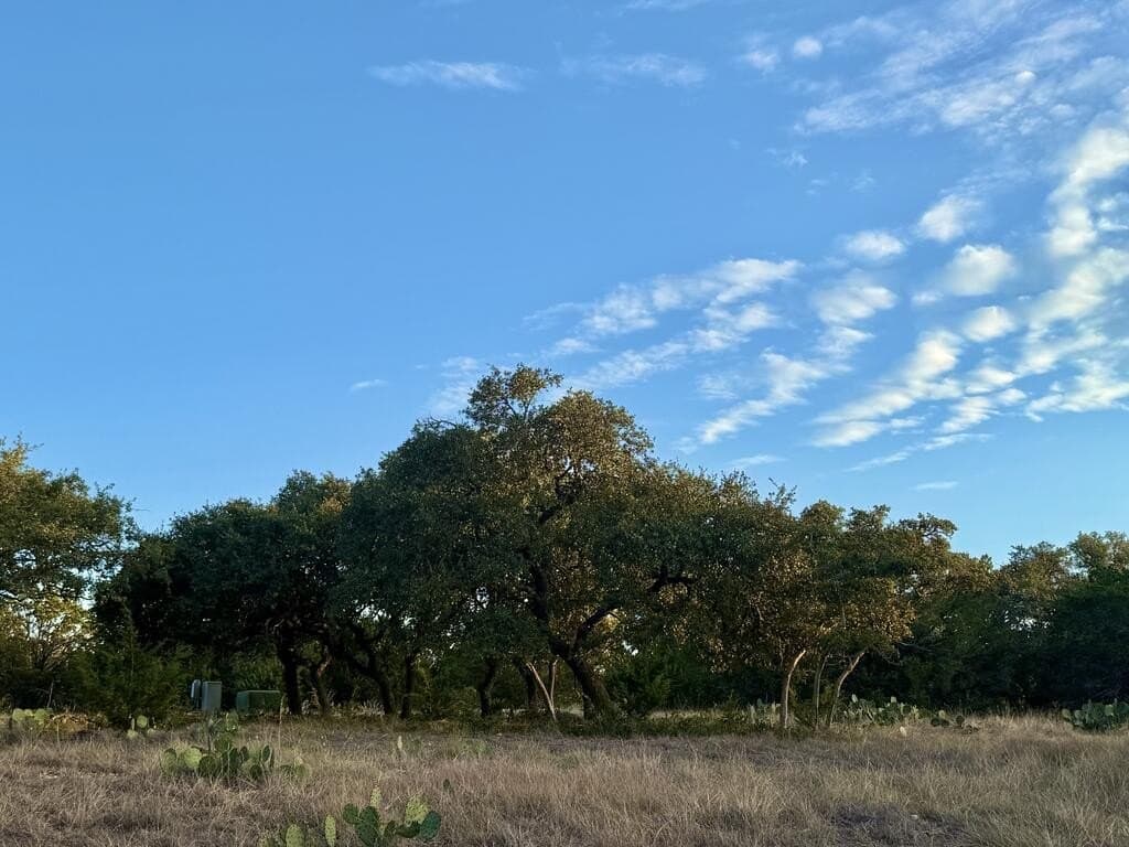 10.09 acres in Gillespie County - photo 9