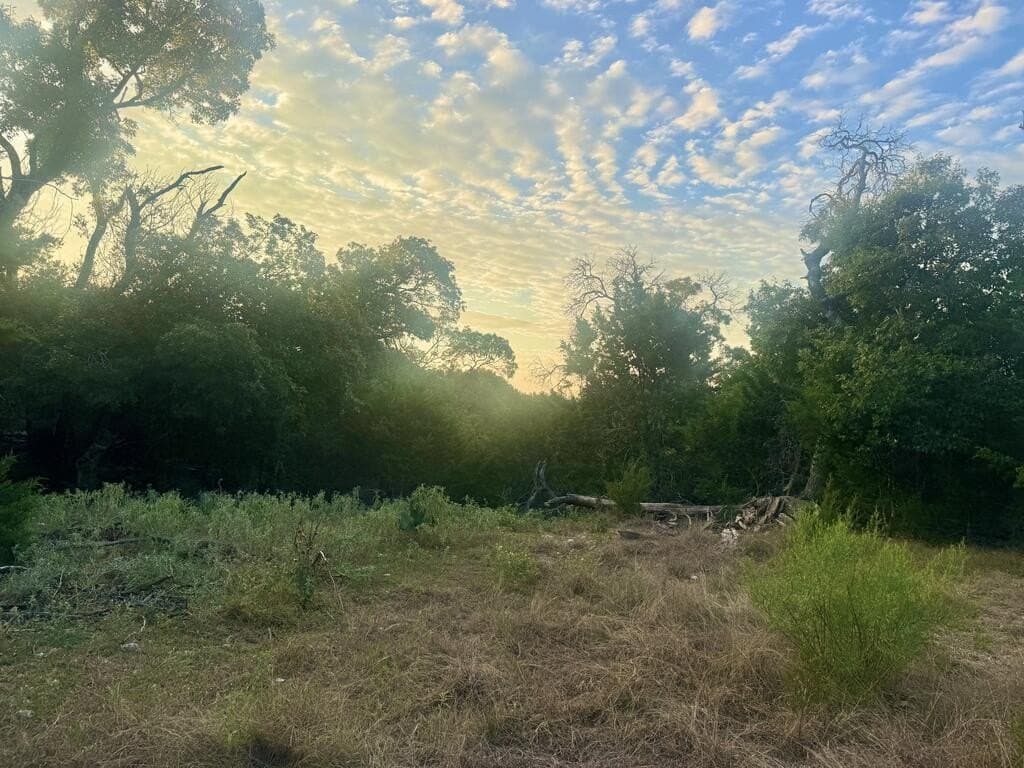 10.09 acres in Gillespie County - photo 17