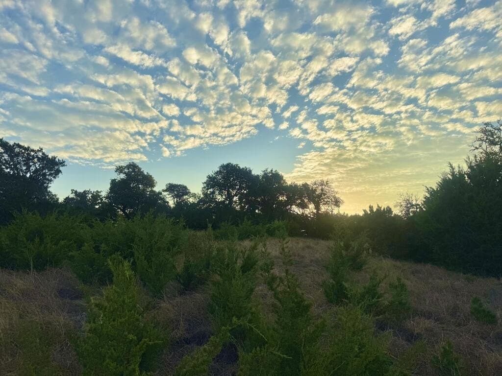 10.09 acres in Gillespie County - photo 8