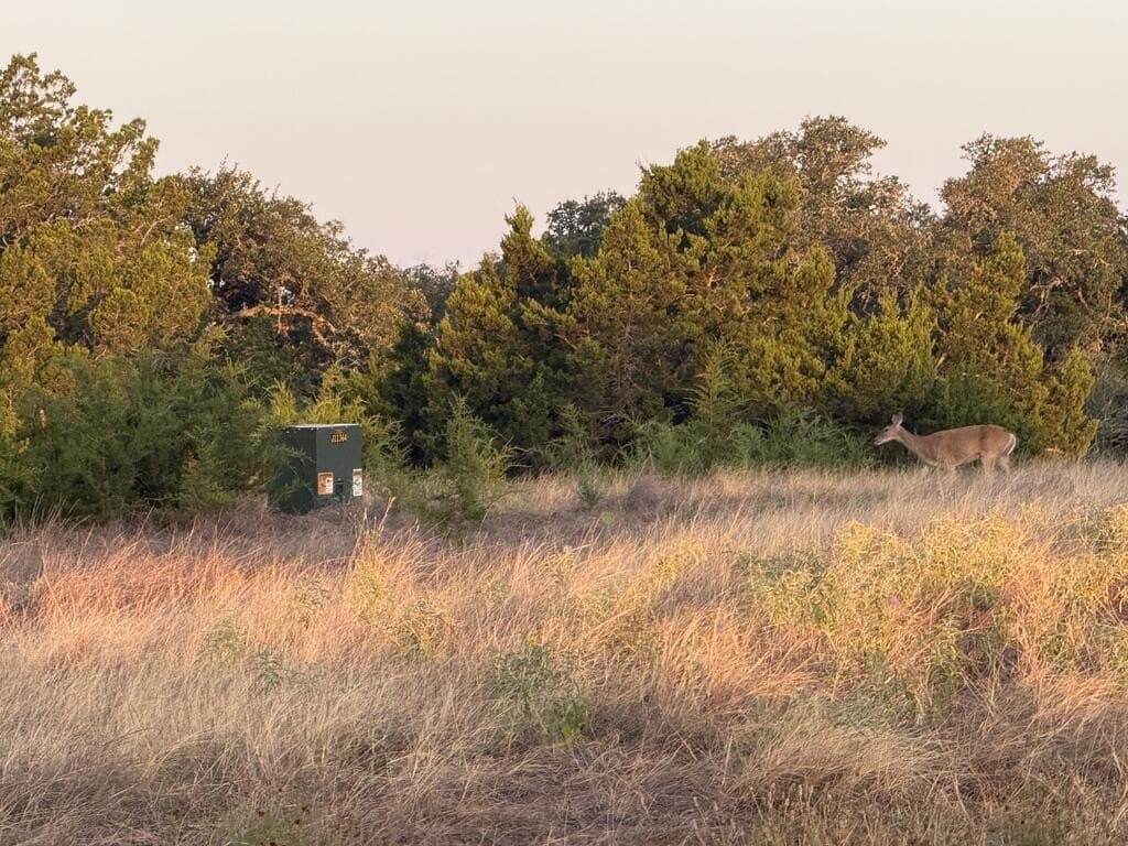 10.09 acres in Gillespie County - photo 6