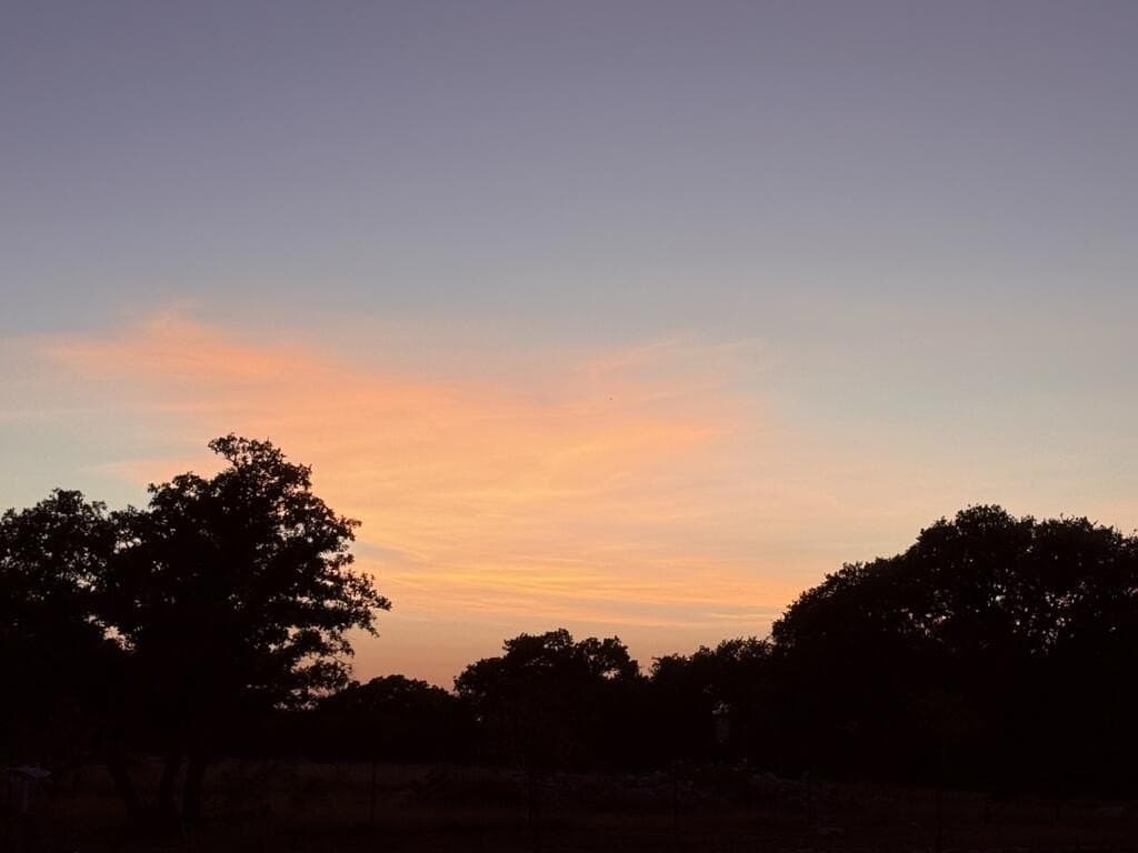 10.09 acres in Gillespie County - photo 11