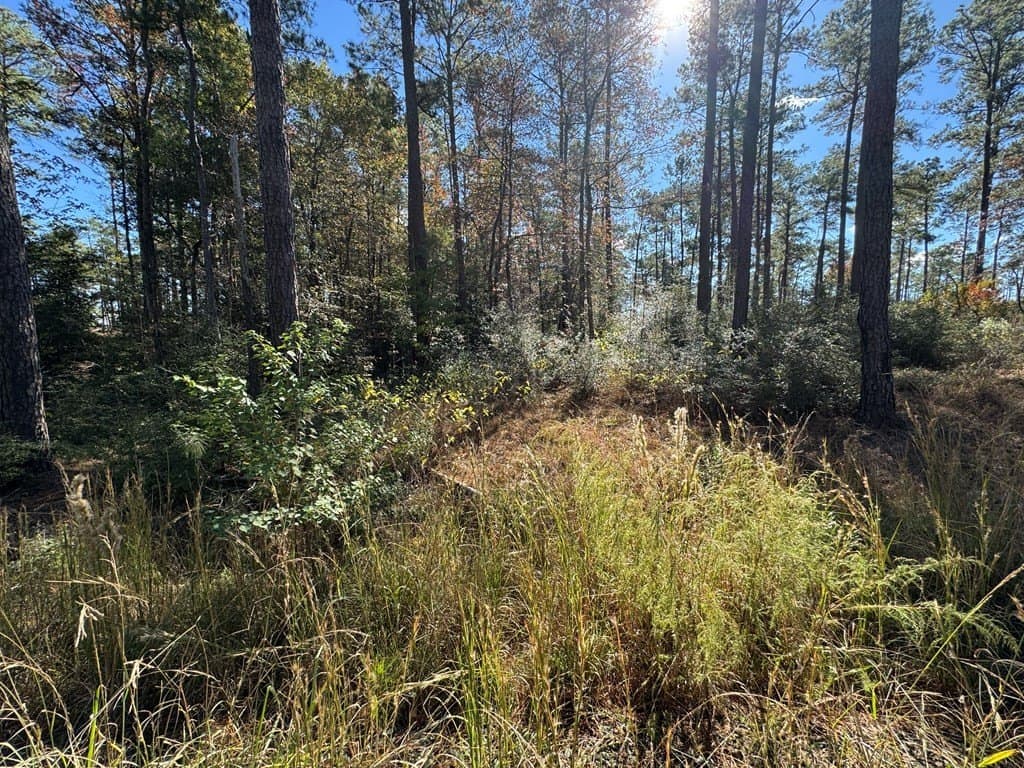 1 acres in Texas County - photo 11