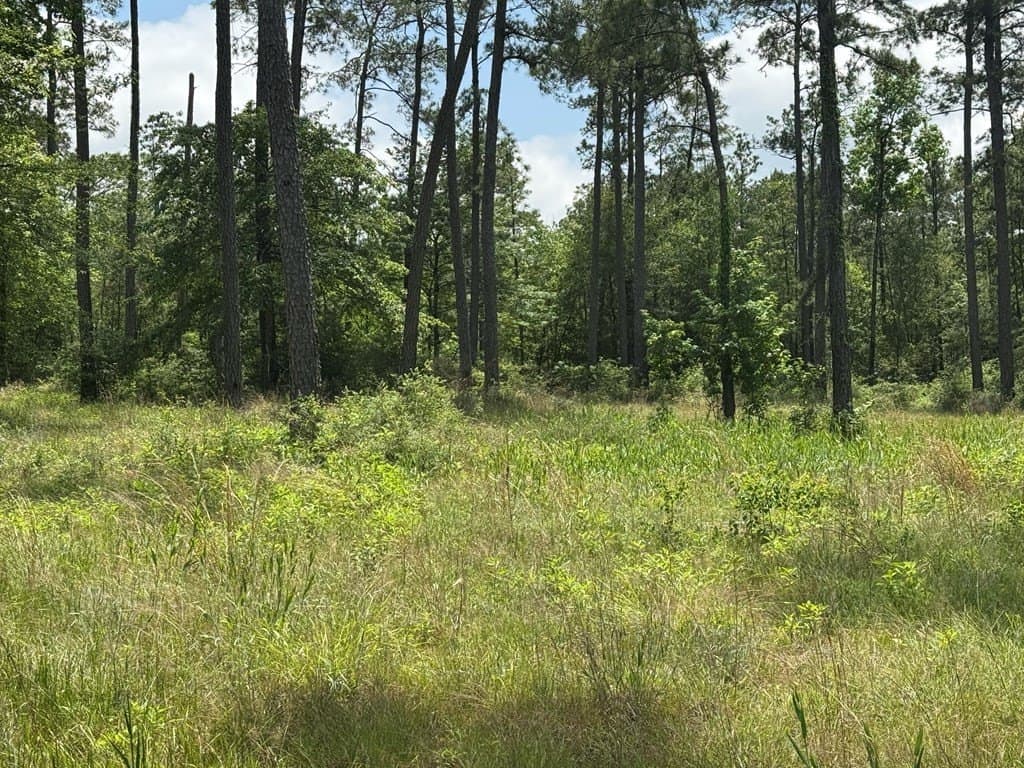 1 acres in Texas County - photo 7