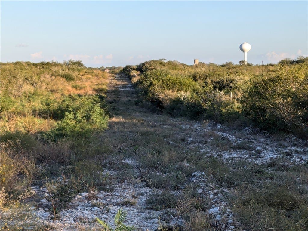 244 acres in Duval County - photo 6
