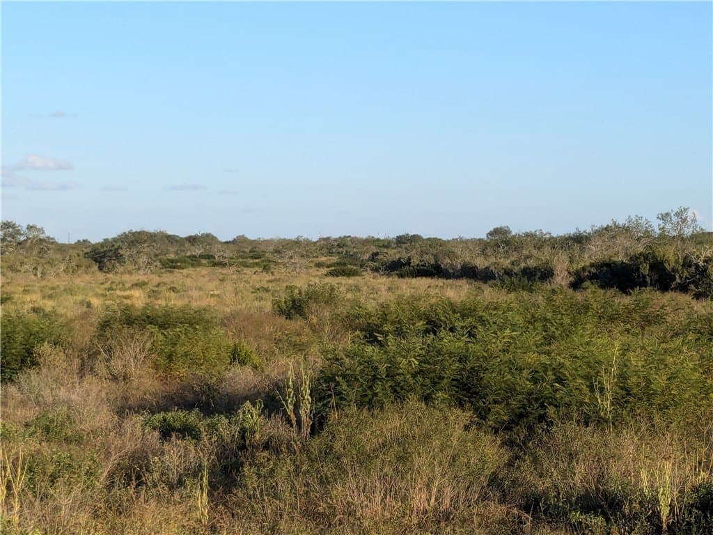 244 acres in Duval County gallery image 3