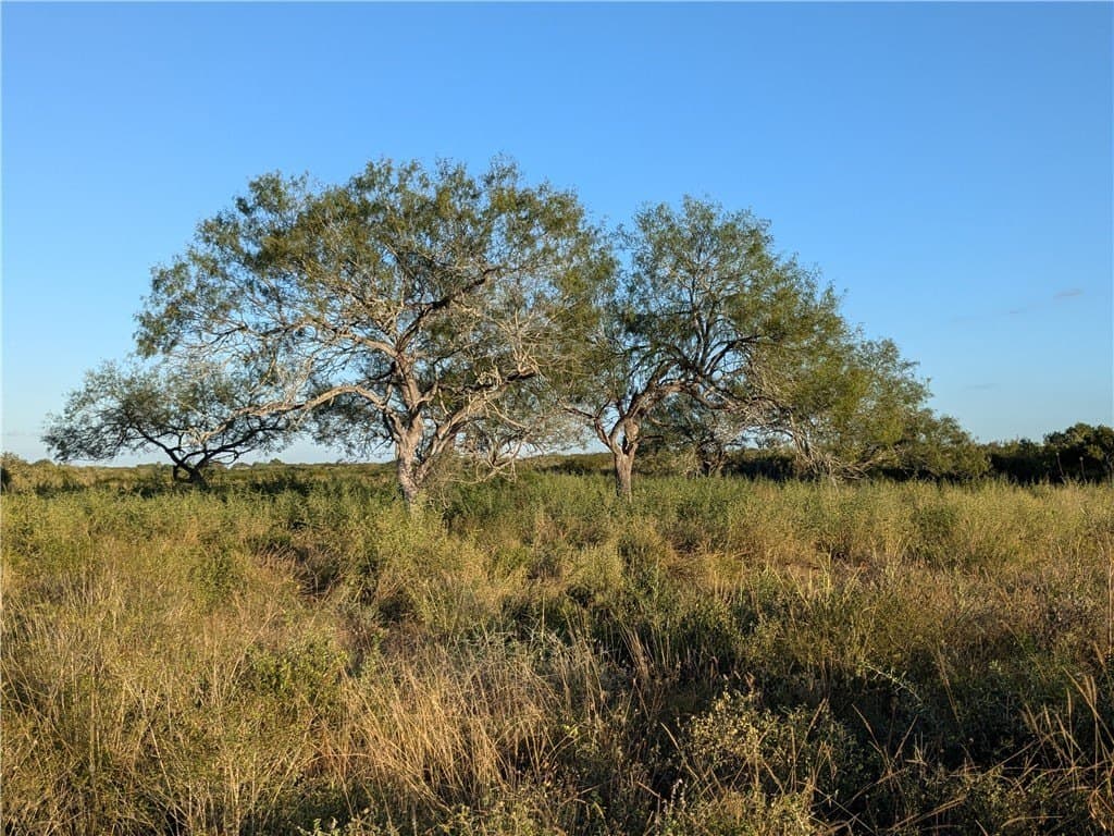 244 acres in Duval County