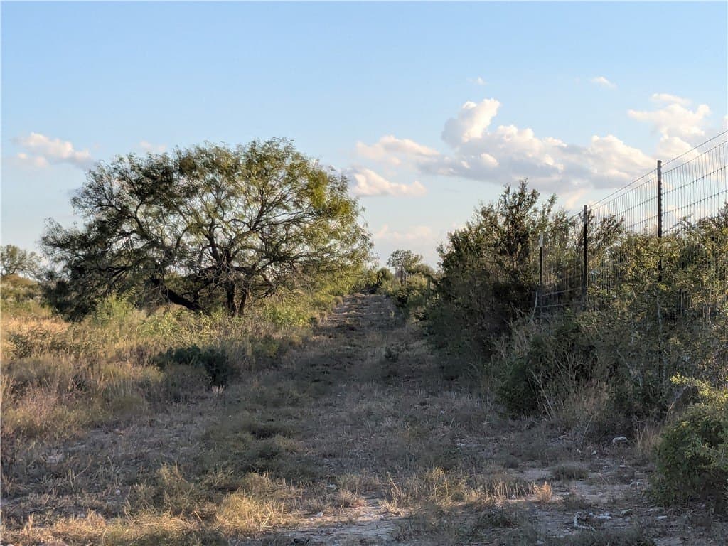 244 acres in Duval County gallery image 4