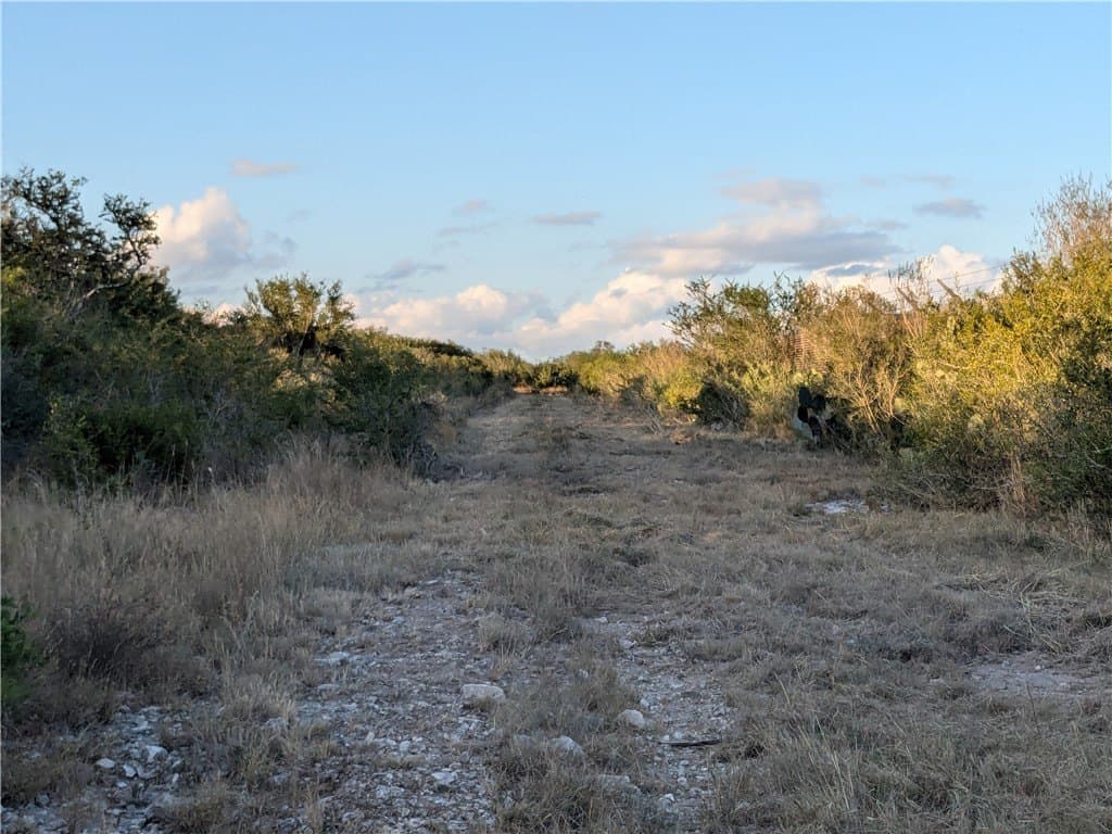 244 acres in Duval County - photo 7