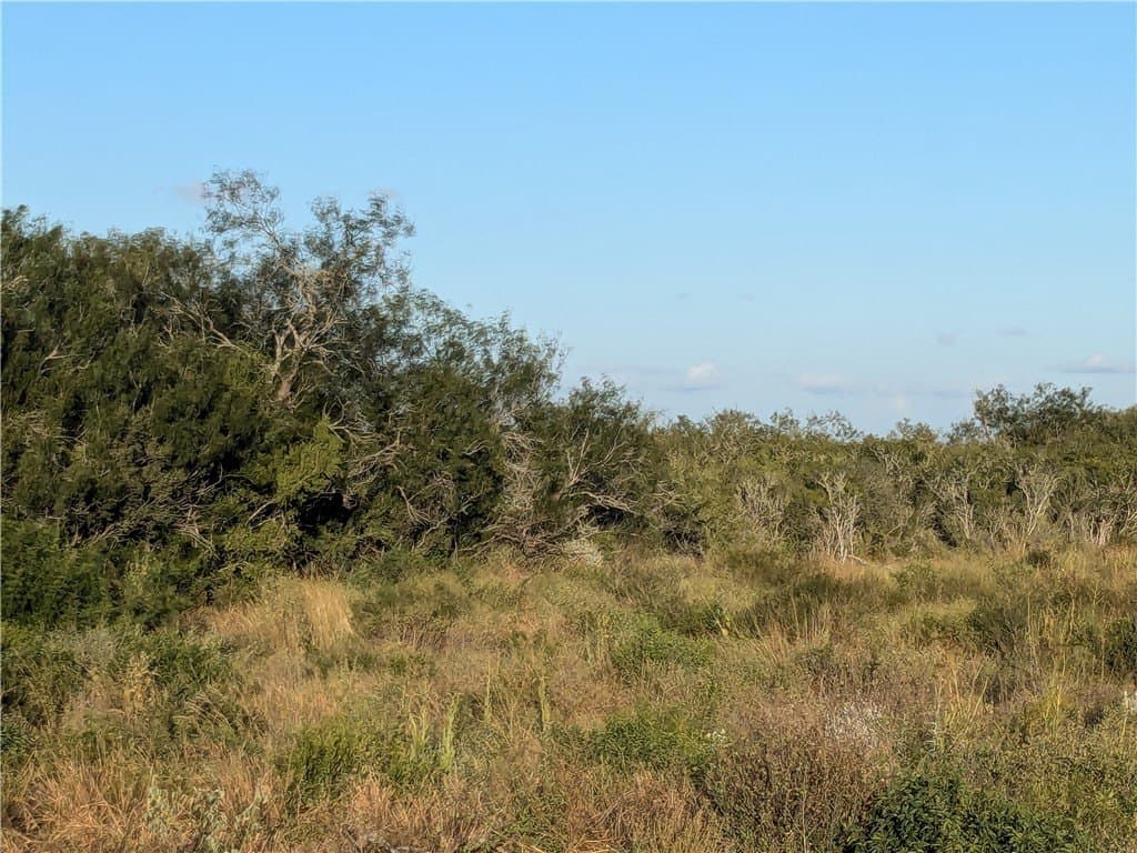 244 acres in Duval County gallery image 2