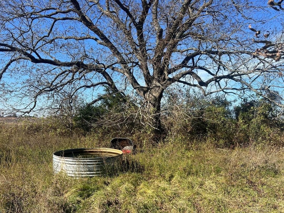 48.49 acres in Limestone County