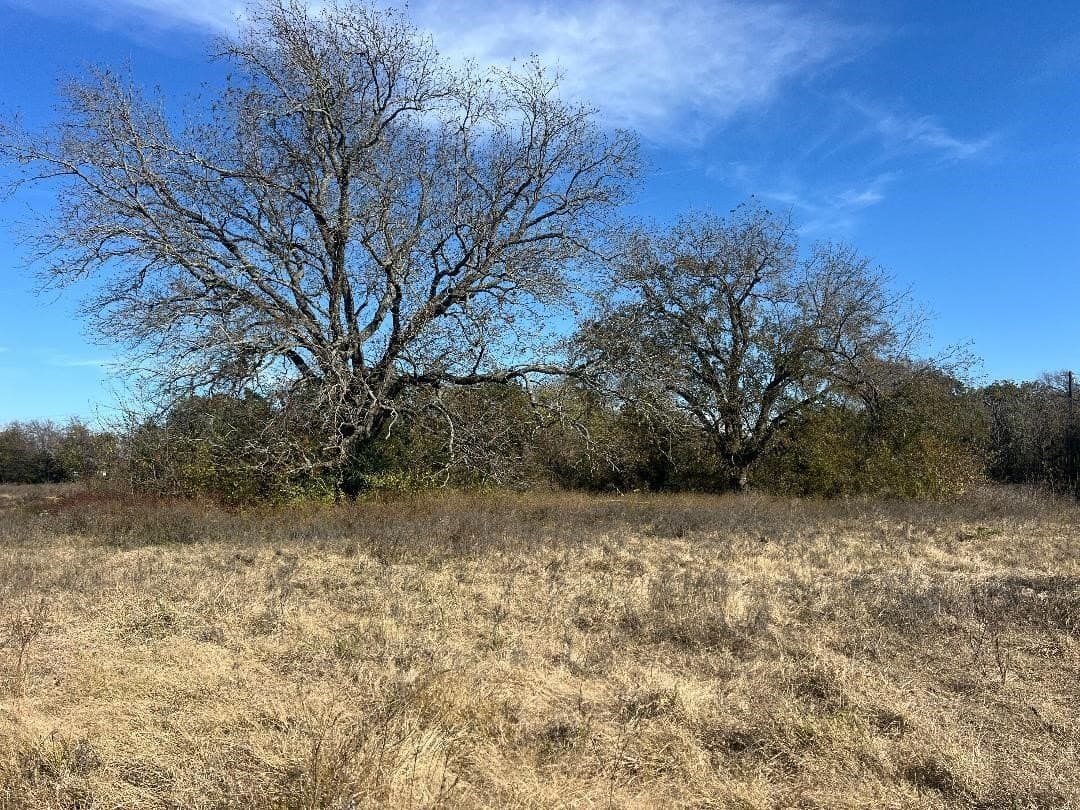 48.49 acres in Limestone County - photo 7