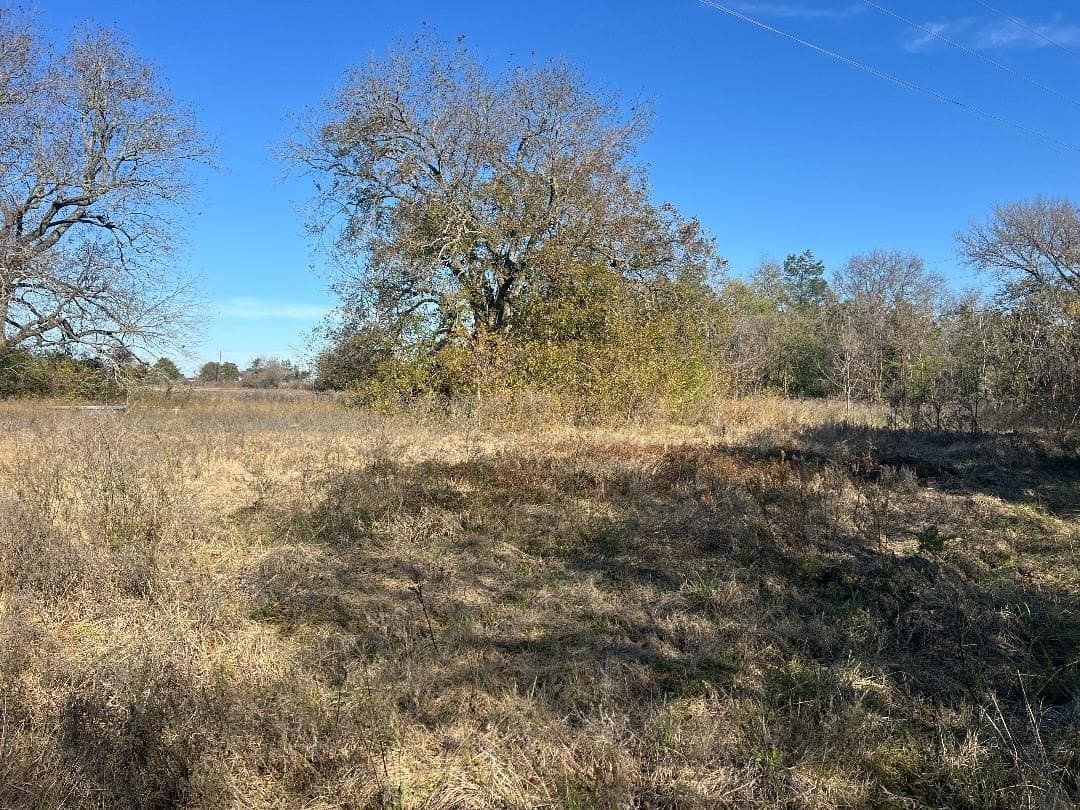 48.49 acres in Limestone County - photo 10