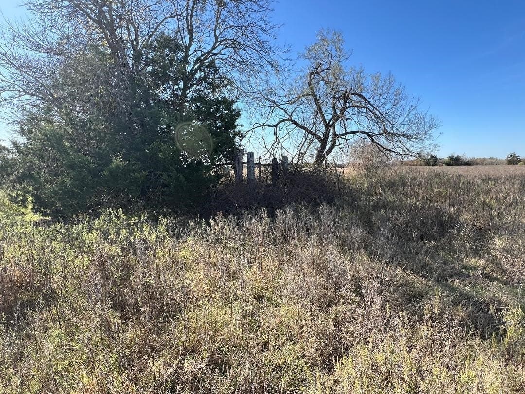 48.49 acres in Limestone County - photo 31