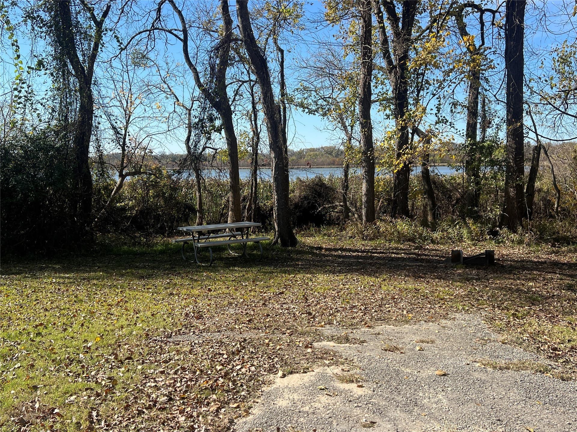 48.49 acres in Limestone County - photo 20