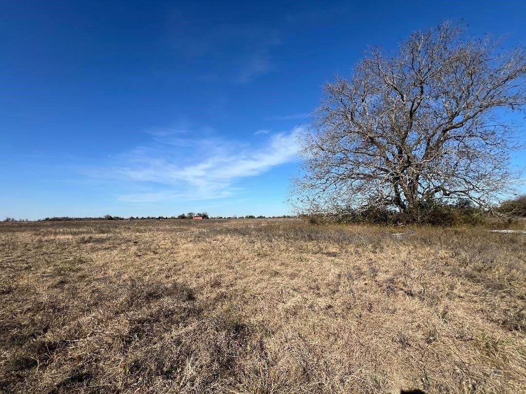 48.49 acres in Limestone County - photo 6