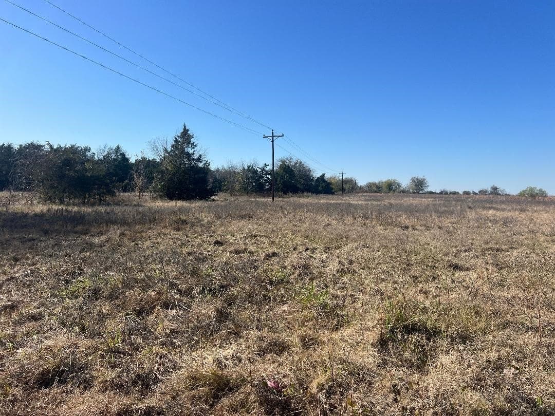 48.49 acres in Limestone County - photo 5