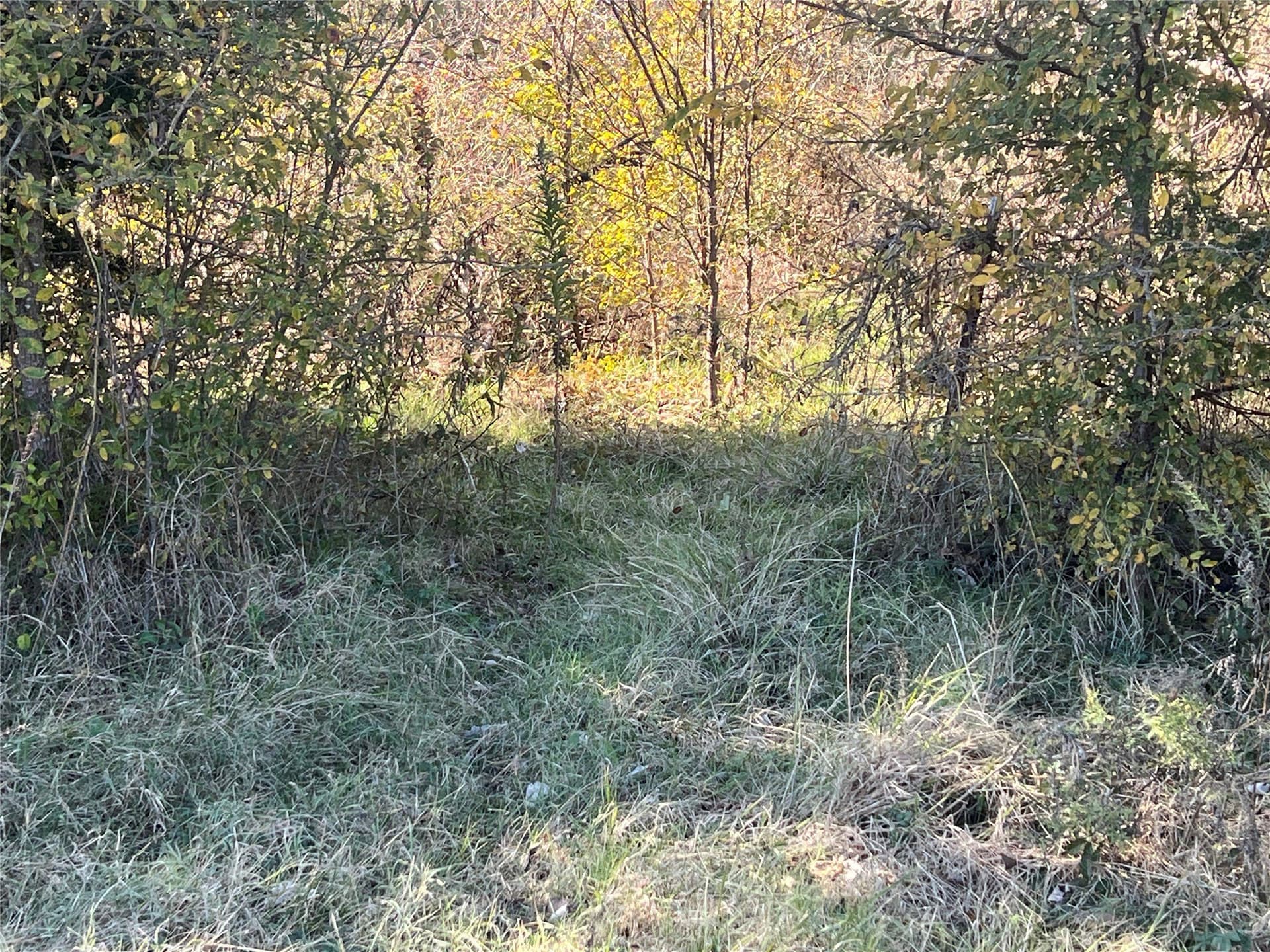 48.49 acres in Limestone County - photo 19