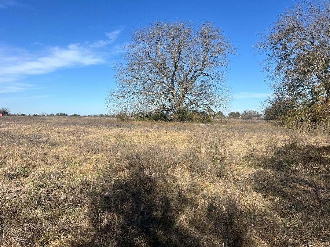 48.49 acres in Limestone County - photo 12