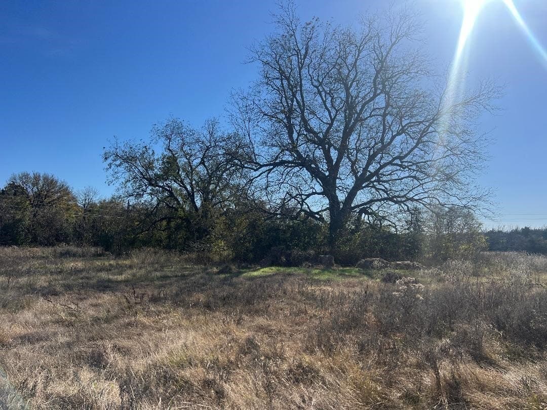 48.49 acres in Limestone County - photo 9
