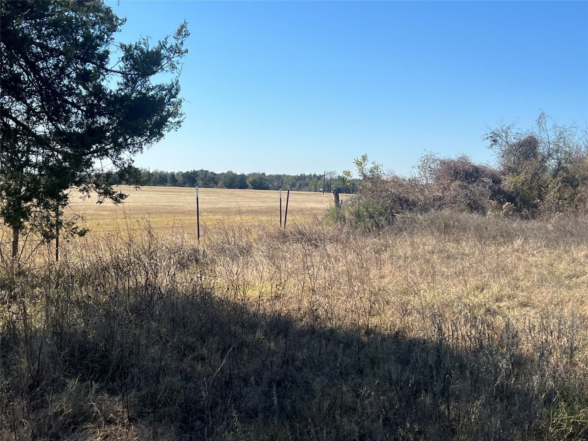 48.49 acres in Limestone County - photo 18