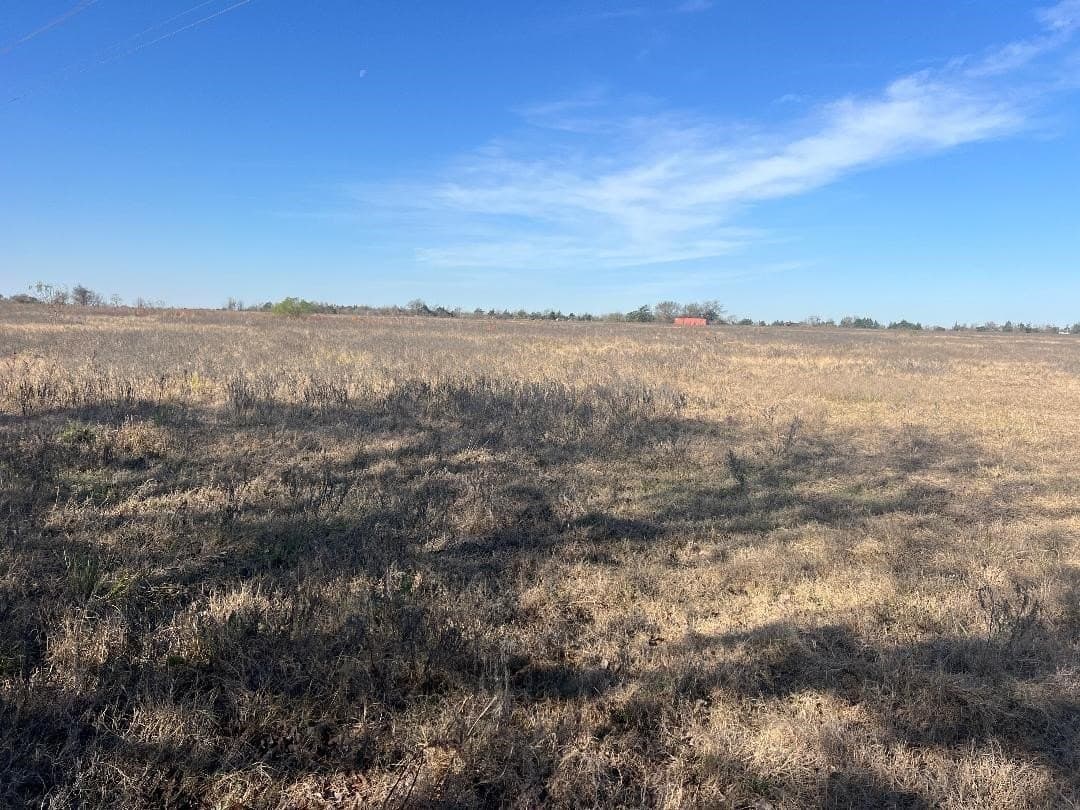 48.49 acres in Limestone County - photo 14