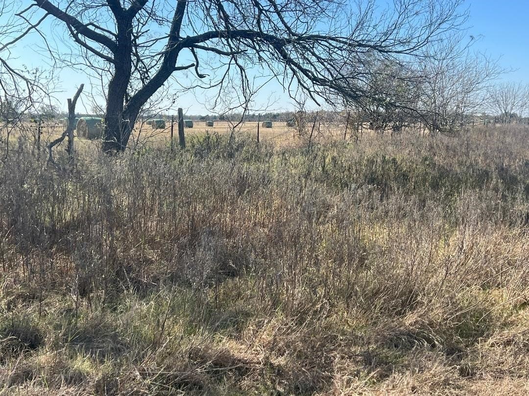 48.49 acres in Limestone County - photo 30
