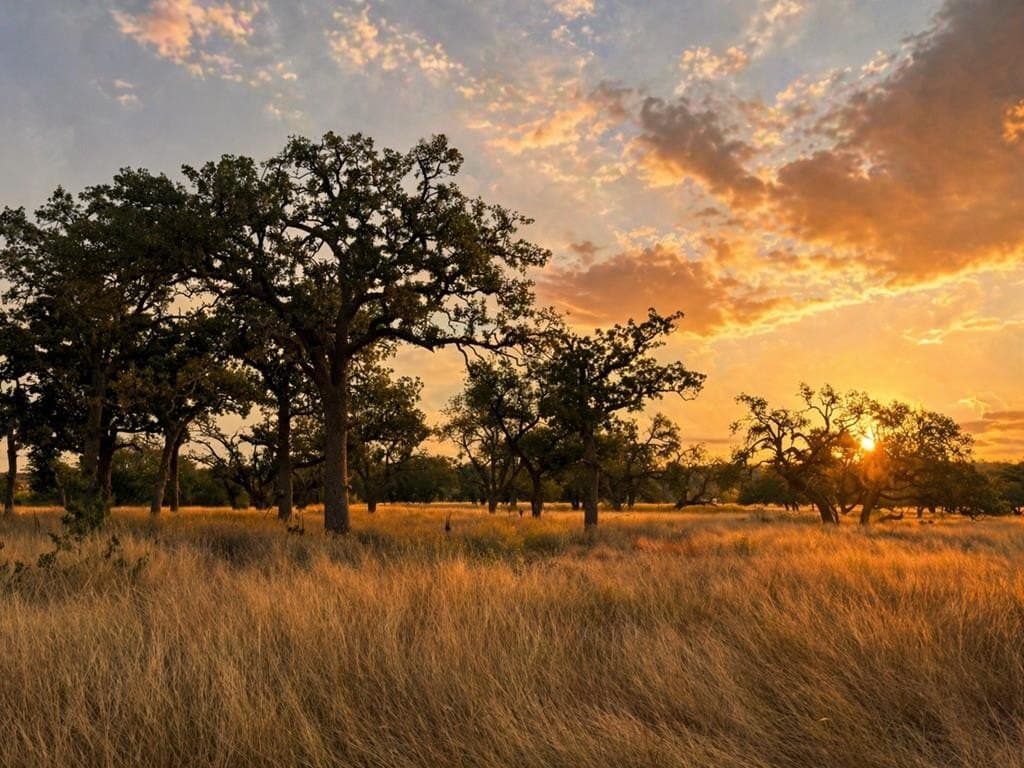4.76 acres in Gillespie County