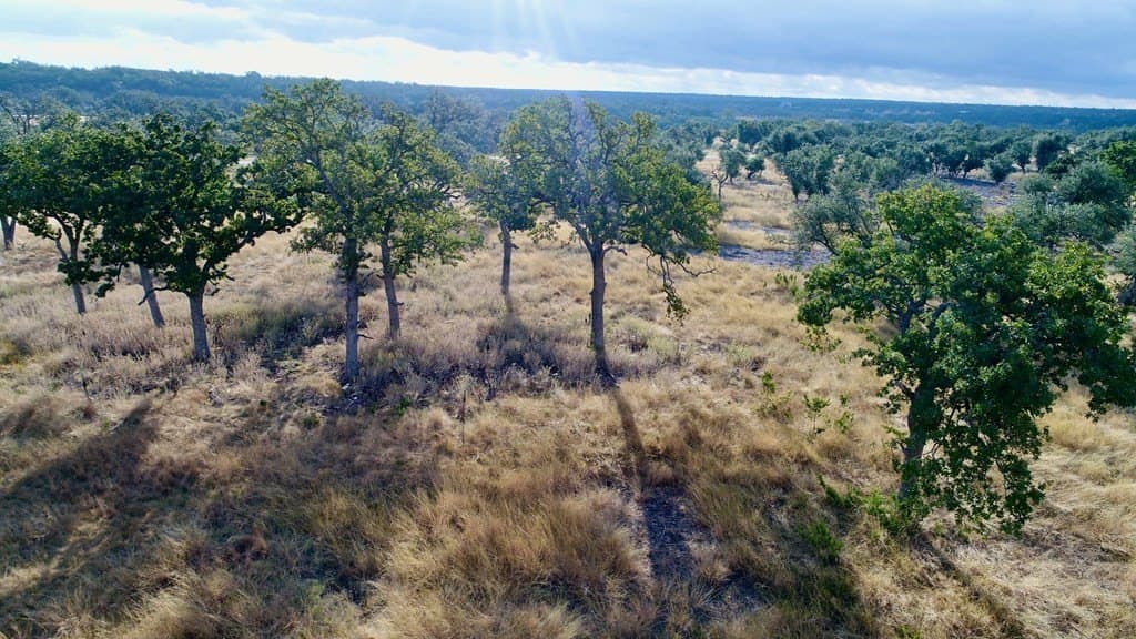 4.76 acres in Gillespie County gallery image 4