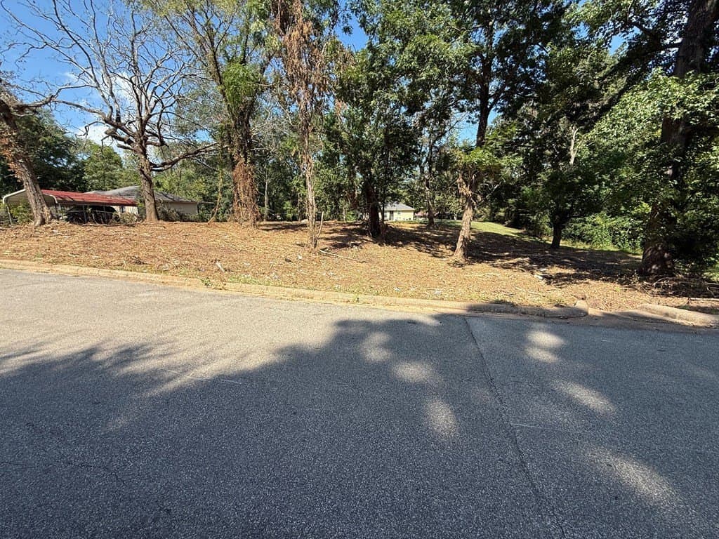 0.3 acres in Texas County gallery image 2