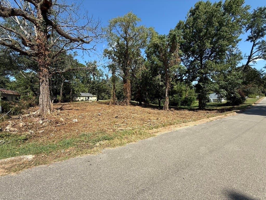 0.3 acres in Texas County gallery image 3
