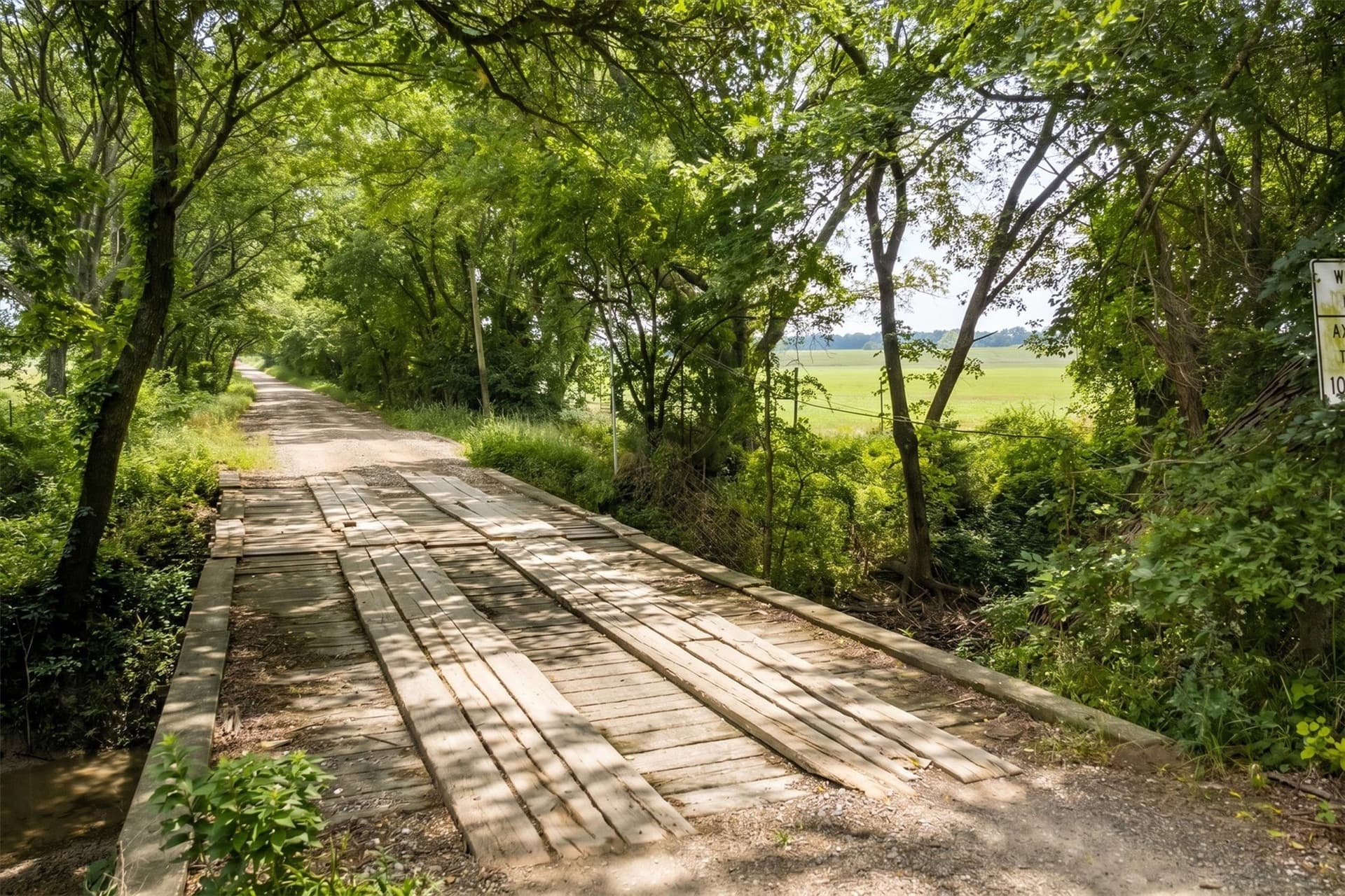 57.84 acres in Collin County - photo 14
